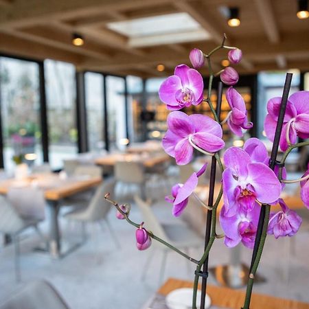 Villa Giade Chiavenna Ngoại thất bức ảnh